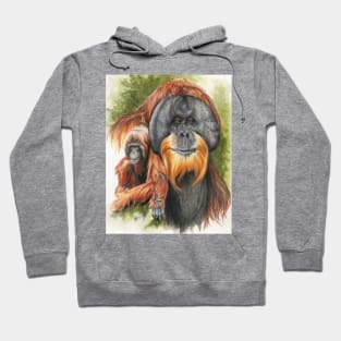 Sang-froid Hoodie